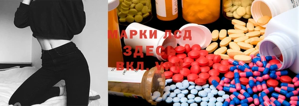 индика Богородицк
