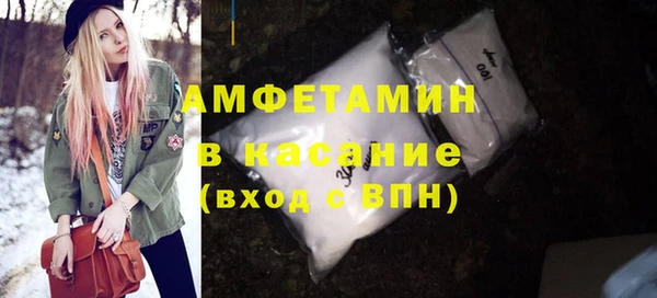 индика Богородицк
