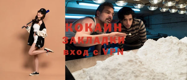 винт Богданович