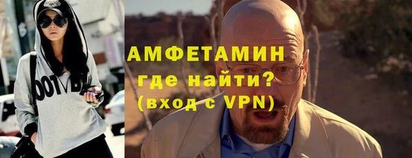 индика Богородицк