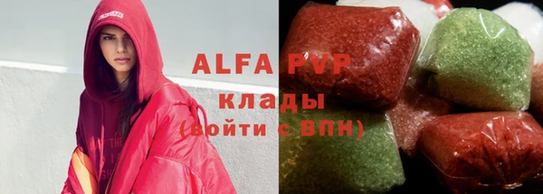спиды Бородино