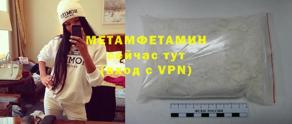 индика Богородицк