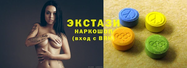 индика Богородицк