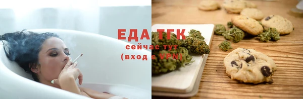 индика Богородицк