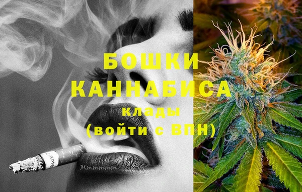 винт Богданович