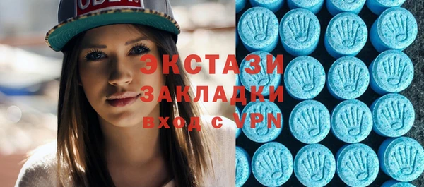 индика Богородицк