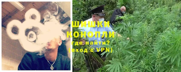 винт Богданович