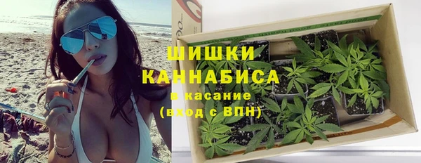 ПСИЛОЦИБИНОВЫЕ ГРИБЫ Бронницы