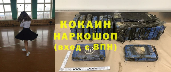 винт Богданович