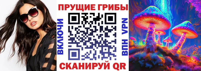 Псилоцибиновые грибы ЛСД Михайловск