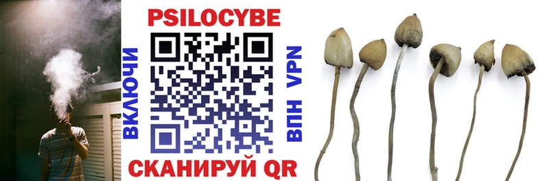 Псилоцибиновые грибы GOLDEN TEACHER  Купить где  Михайловск 